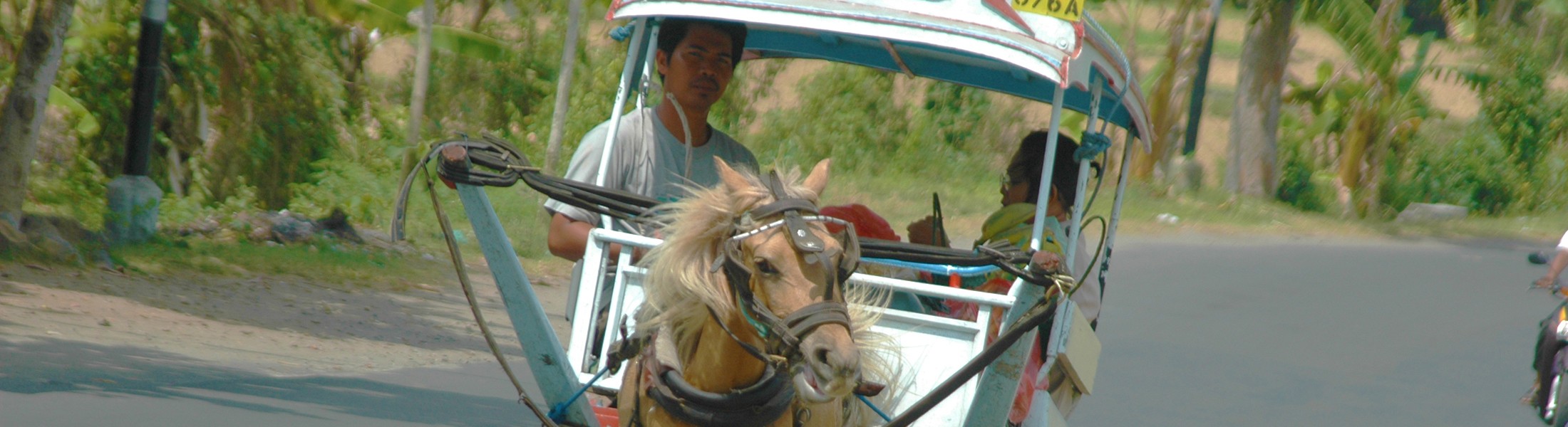 Ordering and delivery