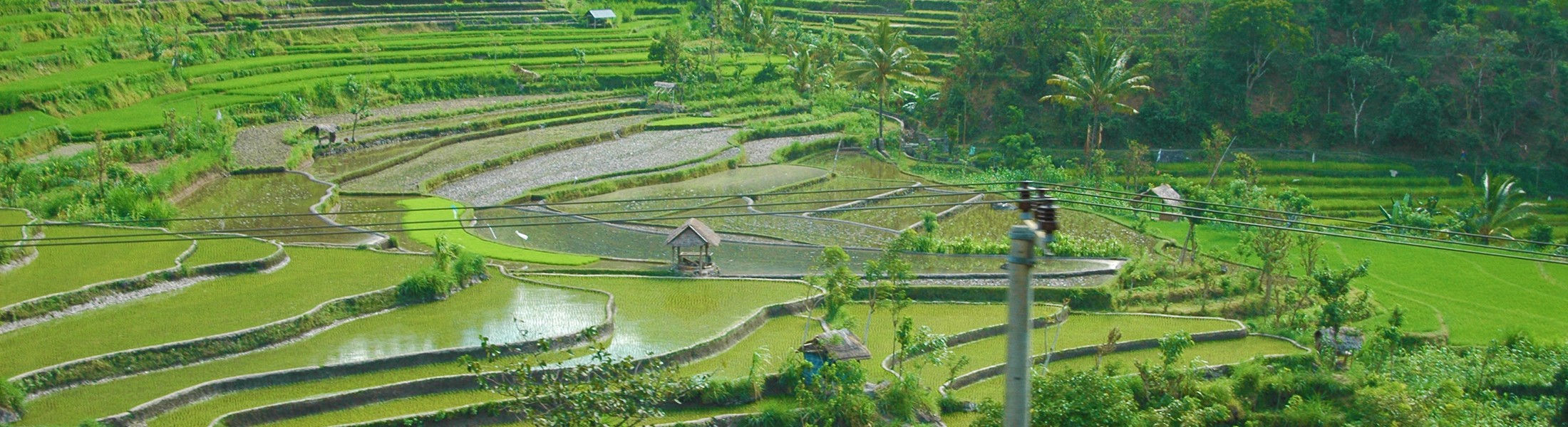 customer service - Payments