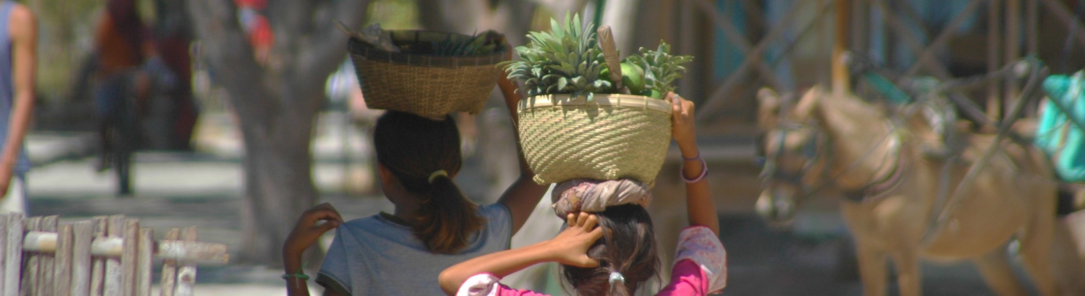 customer service - FAQ